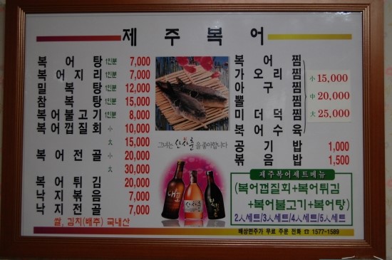 제주복어 이미지