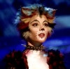Cats Musical Images