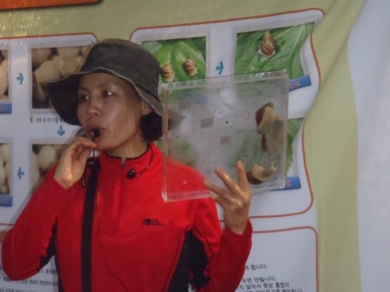 PA280281.JPG?type=w3