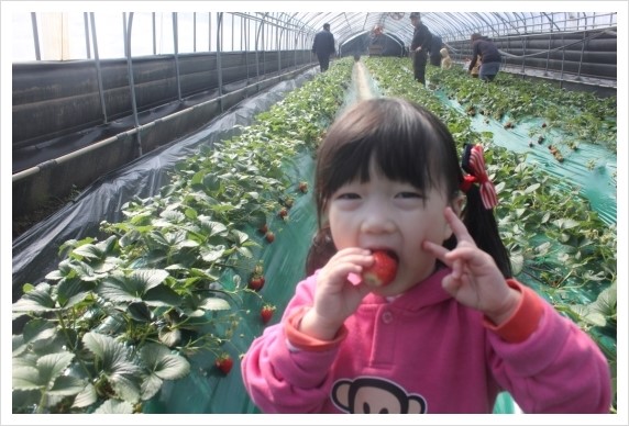 %BB%E7%C1%F8_267.jpg?type=w1