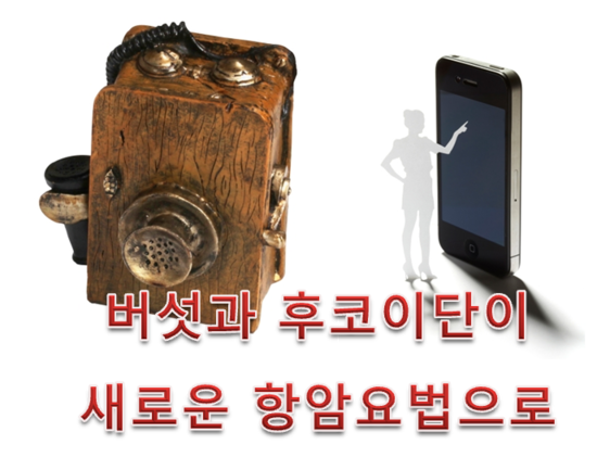 버섯과면역 이미지