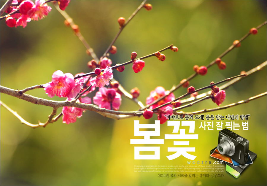 사진연구소 이미지