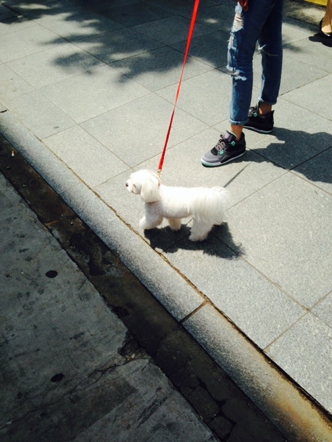 NaverBlog_20140513_221537_07.jpg?type=w3