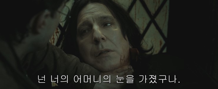 <해리포터> 스네이프 교수님에게 해리포터는 어떤 존재였을까요 | 인스티즈