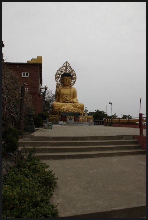 제주길흑돼지 이미지