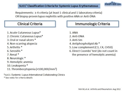 management list sle eular recommendations for the management of systemic lupus management list sle eular recommendations for the management of systemic lupus