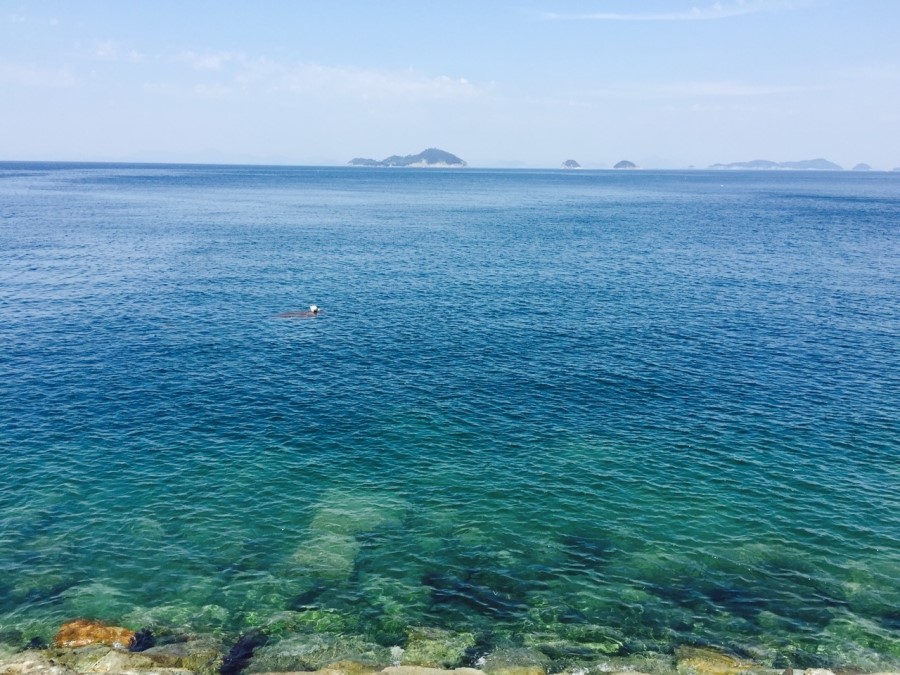 욕지도 이미지