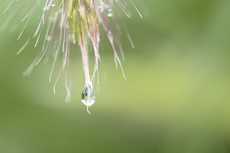 f017_wil_mijer_waterdrop_20151222.png?ty