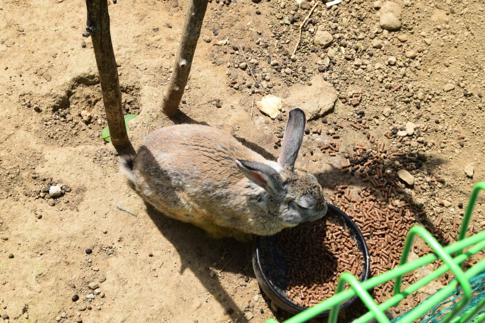 축산물직판장 이미지