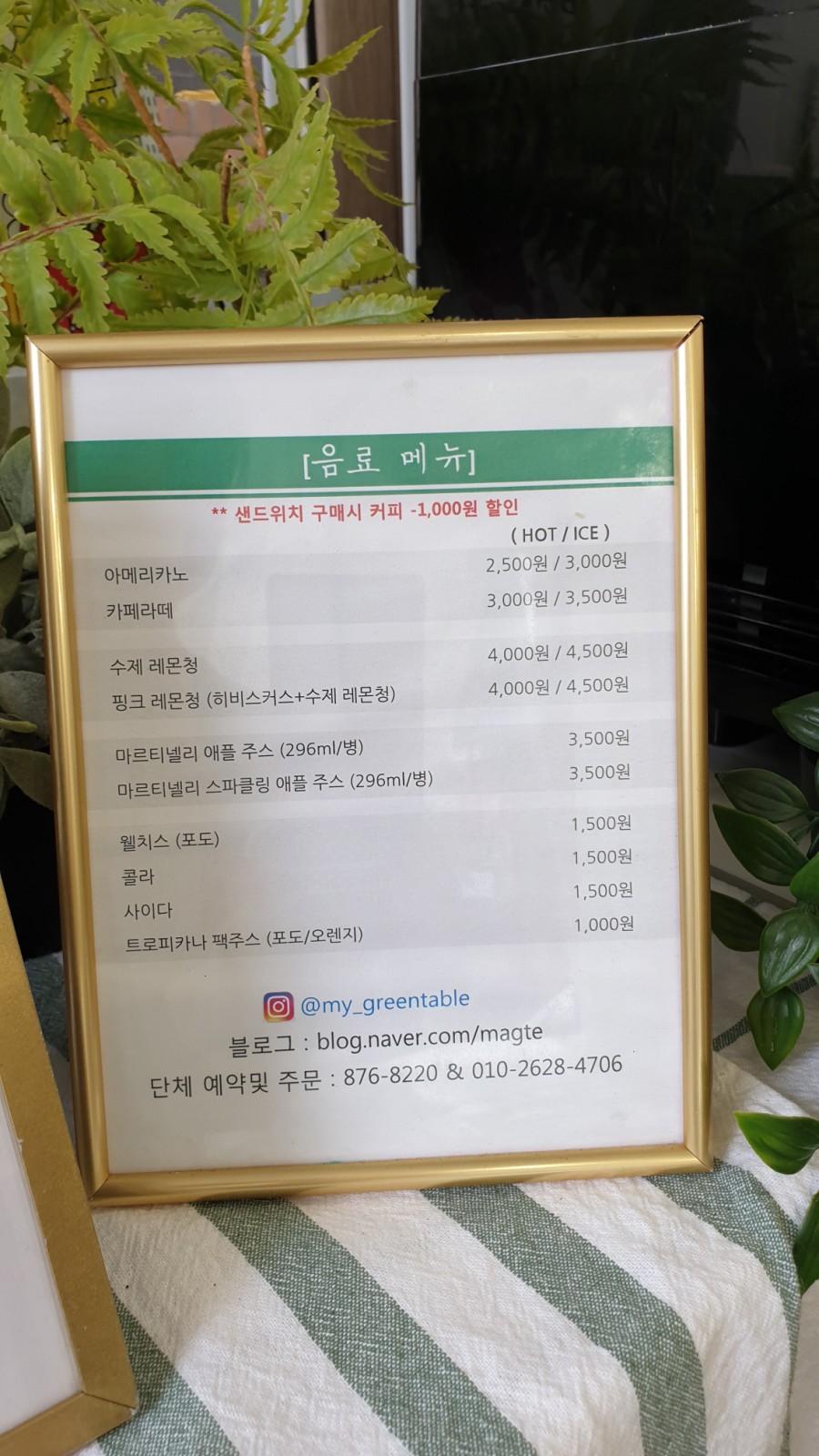 마그테 이미지