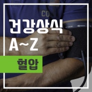 섬네일