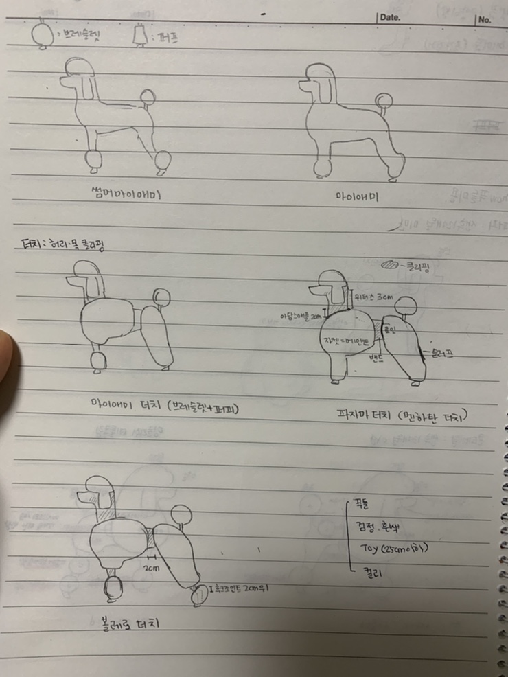 로제트리 이미지