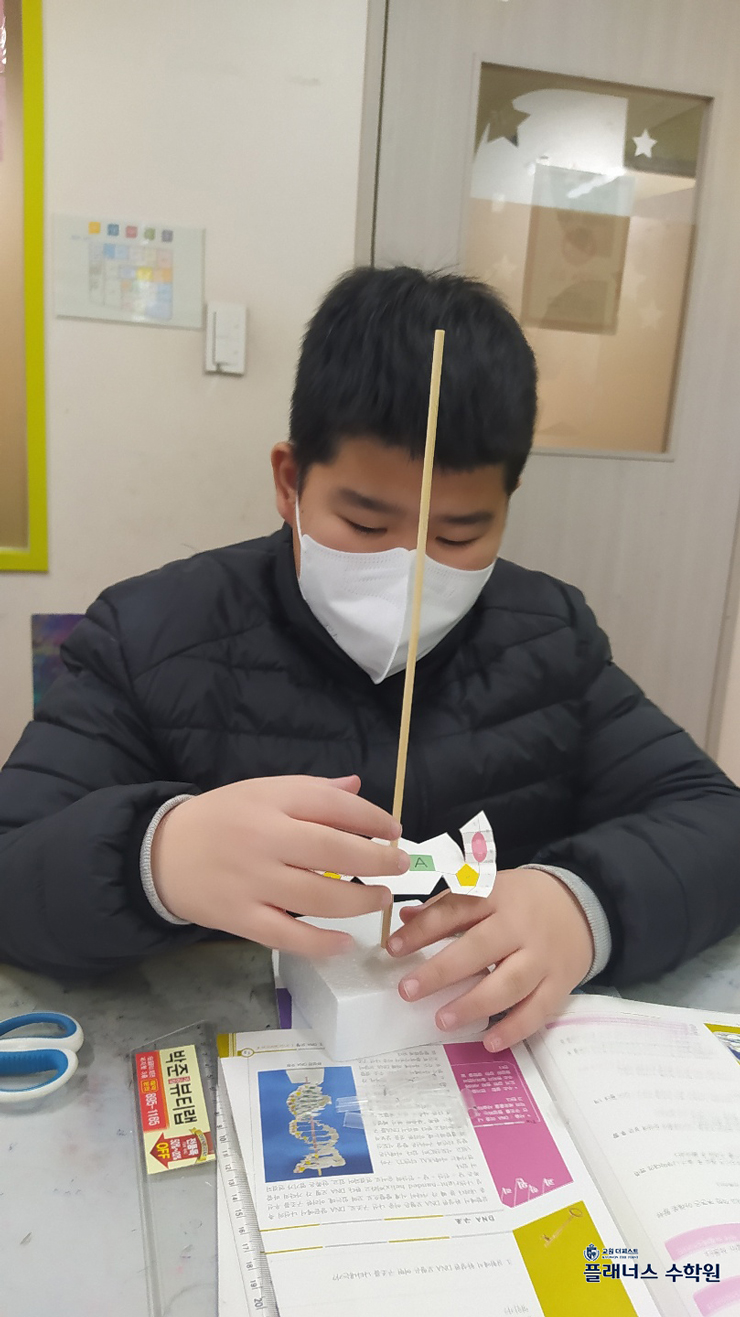 부산진구초등과학학원 dna 모형 만들기 dna가 이중 나선 구조를 형성하는 이유를 쉽게 이해하는 방법 네이버 블로그